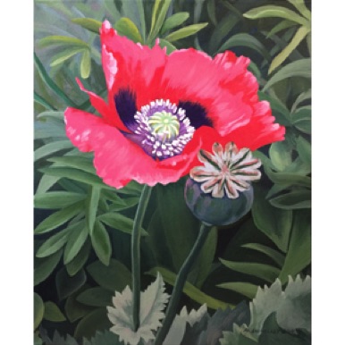 Ephemeral Poppy, Acrylic painting by Arlene Kelley