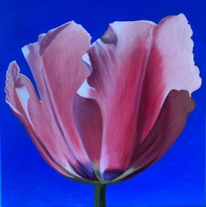 Tulip, Acrylic painting by Arlene Kelley